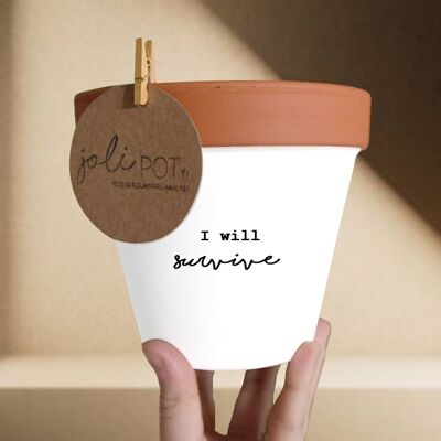 Flower pot, flowerpot "I will survive"