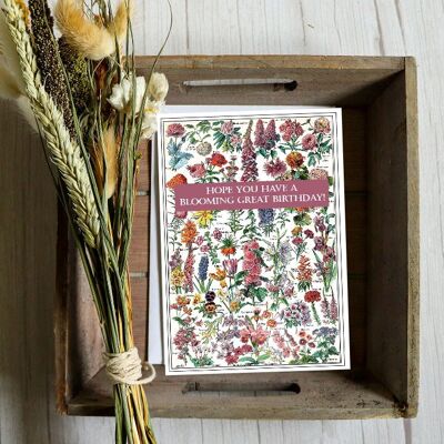 Blooming Birthday Card - A gift of wildflower seeds
