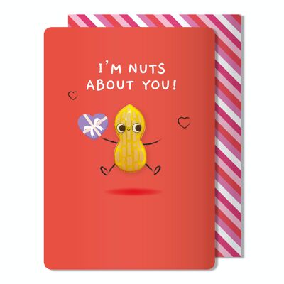 Valentine's Sketchy I'm Nuts about You tarjeta de felicitación