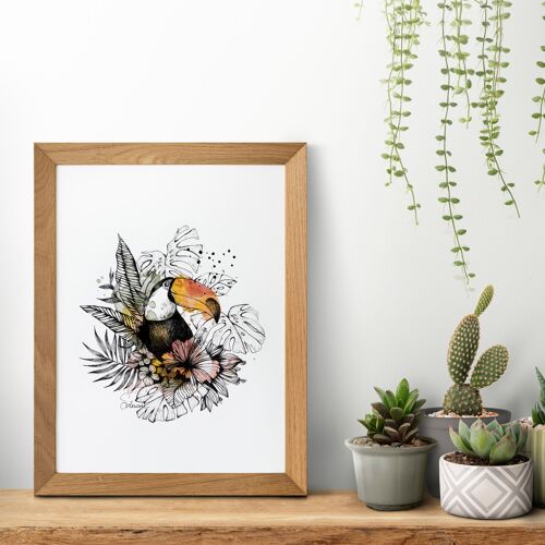 Affiche TOUCAN - Illustration A4 à l'aquarelle et encre de chine