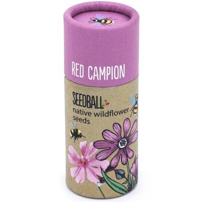 Tubo de semillas de flores silvestres - Red Campion