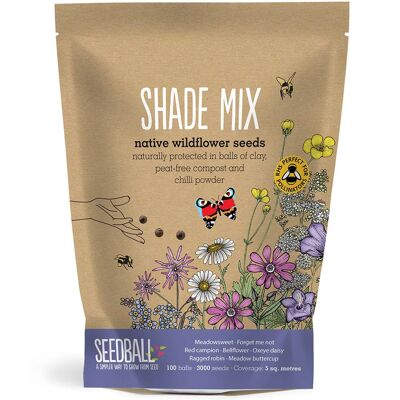 Seedball Wildflower Grab Bags – Farbmischung