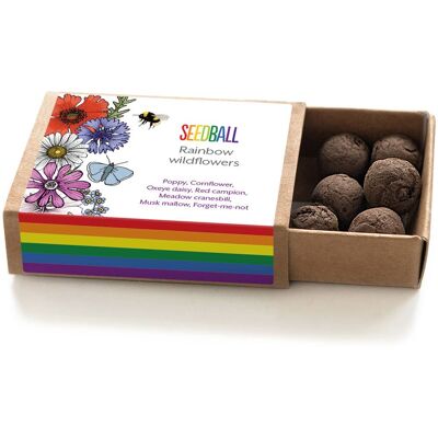Cajas de bolas de semillas de flores silvestres Pride Rainbow
