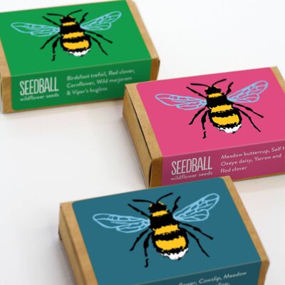 Cajas de flores silvestres de bolas de semillas de abejas