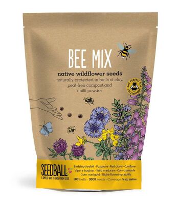 Sacs à main Seedball Wildflower - Bee Mix 1