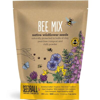 Seedball Wildblumen-Wundertüten – Bienenmischung