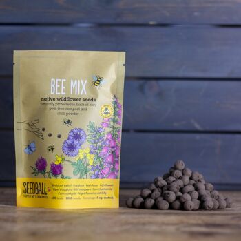Sacs à main Seedball Wildflower - Bee Mix 5