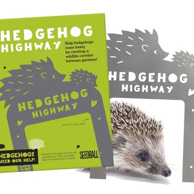 Hedgehog Highway Jardín Corredor de Vida Silvestre