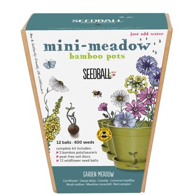 Seedball Meadow Pots - Garden Meadow