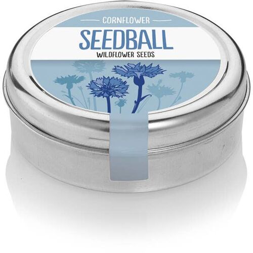 Cornflower Seedball Tin