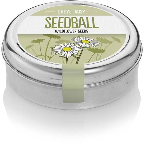 Oxeye Daisy Seedball Tin