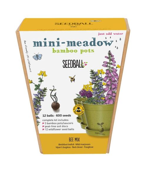 Seedball Meadow Pots - Bee Mix