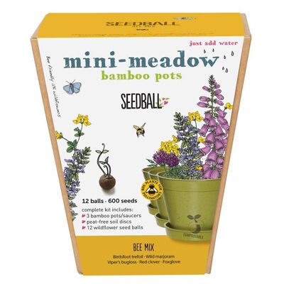Seedball Meadow Pots - Mix di api