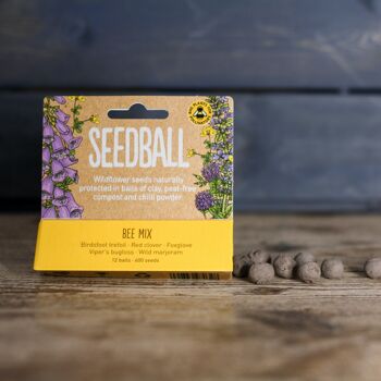 Pots de prairie Seedball - Mélange d'abeilles 5