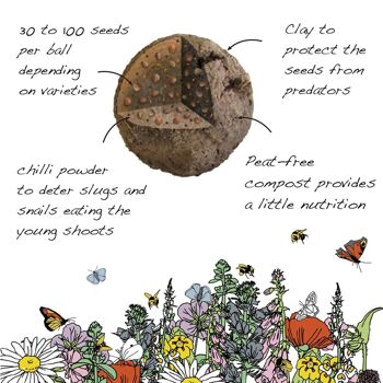 Pots de prairie Seedball - Mélange d'abeilles 8