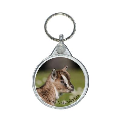 Miniature baby goat photo keyring 7