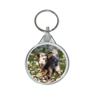 Miniature baby goat photo key ring 6