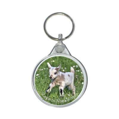 Miniature baby goat photo keychain 1