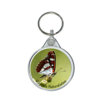 Azure Sylvan butterfly photo key ring