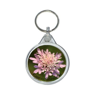 Field scabious flower photo key ring