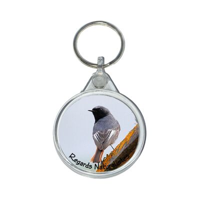 Black redtail bird photo key ring