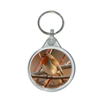 Pet robin bird photo keyring 5