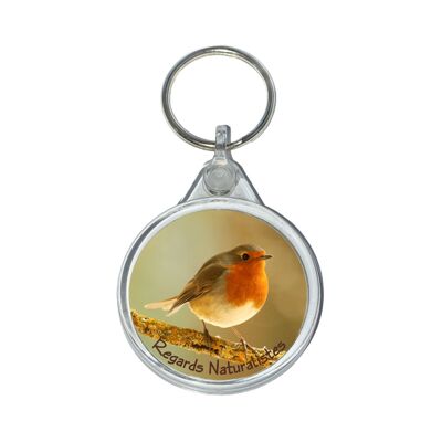 Pet robin bird photo keyring 2