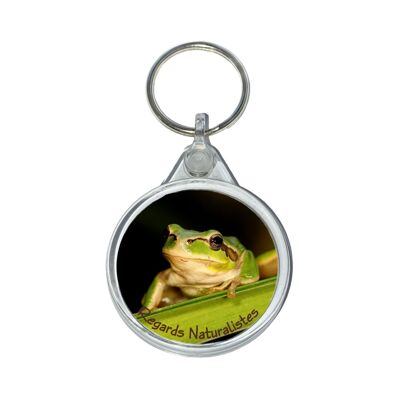 Tree frog photo key ring 3