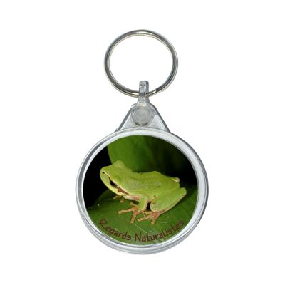 Tree frog photo keyring 2