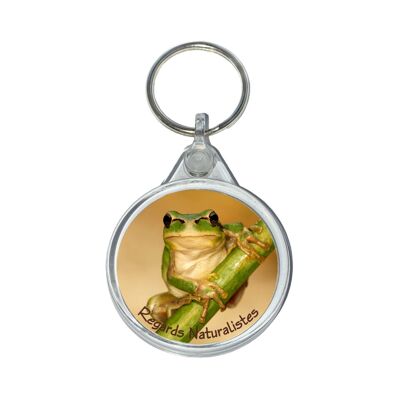 Tree frog photo key ring