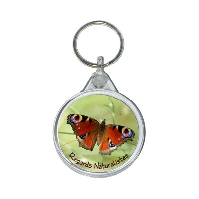 Peacock butterfly photo keyring of the day
