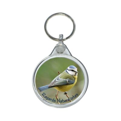 Blue tit bird photo key ring 2