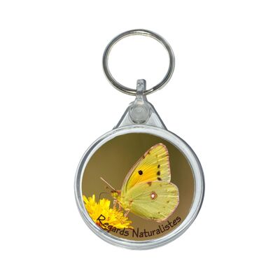 Fluorinated butterfly photo key ring