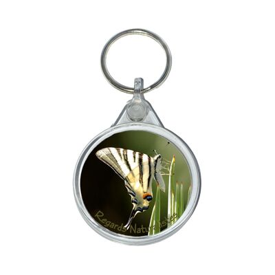Flamed butterfly photo key ring