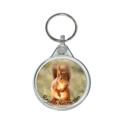 Red squirrel photo keyring 2