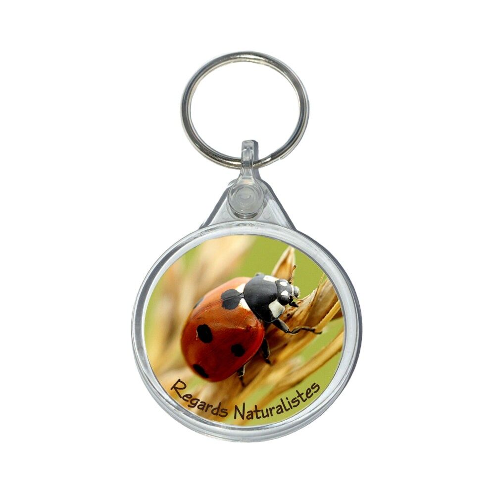 Buy wholesale Ladybug insect photo key ring