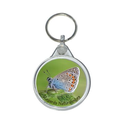 Common Azure Butterfly Photo Key Ring