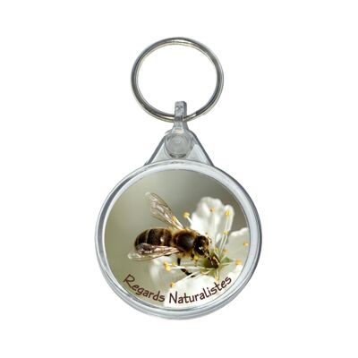 Bee insect photo key ring