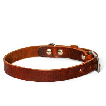 Collier pour chien en cuir No Fuss - Marron - Raccords en acier inoxydable 4