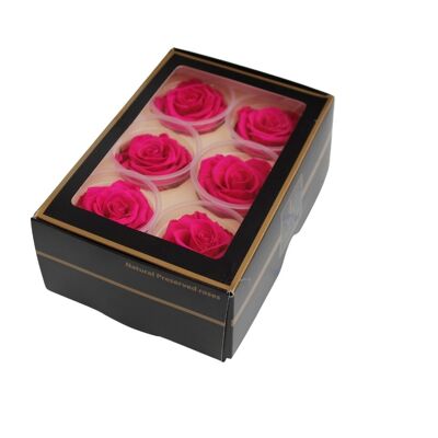 6 Rose vere Eterne Fucsia stabilizzate 6cm LULU ROSE