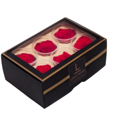 6 real stabilized Eternity Red Roses 6cm LULU ROSE