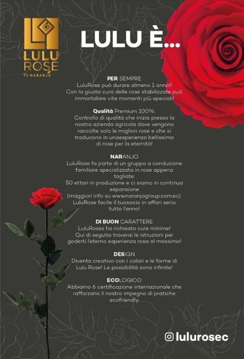 6 véritables Roses Éternelles Rouges stabilisées 6cm LULU ROSE 4