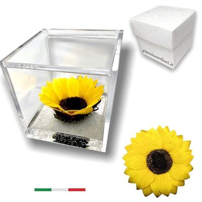 Cube de tournesol parfumé éternel de 8 cm avec fond à effet d'eau