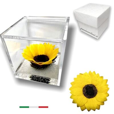 Cubo Girasole eterno profumato 8cm con Fondo Effetto Acqua