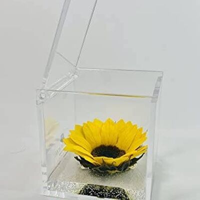 Cubo Girasole vero Eterno 8cm artigianale Made In Italy