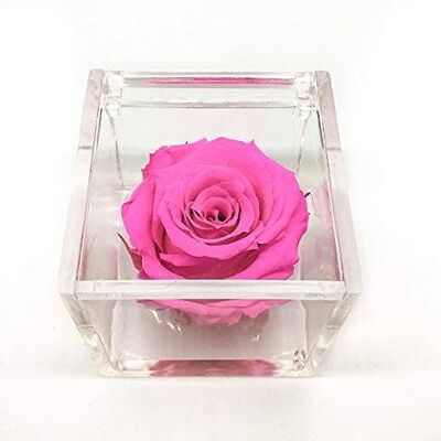 Cubo Rosa Eterna Perfumado Fucsia 5cm Hecho a Mano