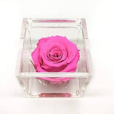 Cubo Rosa eterna profumata Fucsia 5cm Fatta a mano