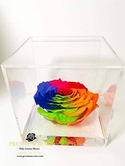 Cubo Rosa Eterna Stabilizzata Multicolore 12cm Artigianale