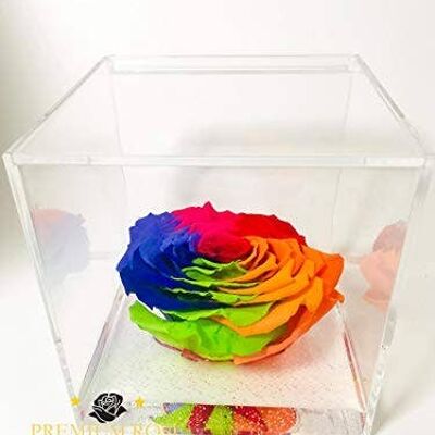 Cubo Rosa Eterna Stabilizzata Multicolore 12cm Artigianale