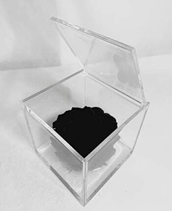 Cube Rose Éternelle Stabilisée Noire 10cm Fabriqué en Italie